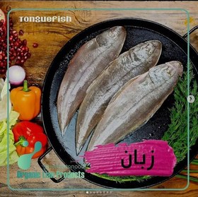 تصویر ماهی زبان 