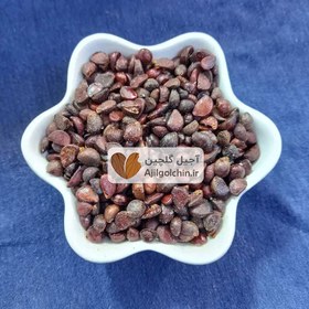 تصویر انچوچک 