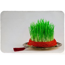 تصویر رطوبت گیر کنار سینک کد 5767 