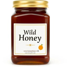 تصویر عسل وحشی - 910 گرم 