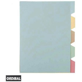 تصویر دیوایدر مقوایی ۱۰۰ عددی ۵ رنگ 