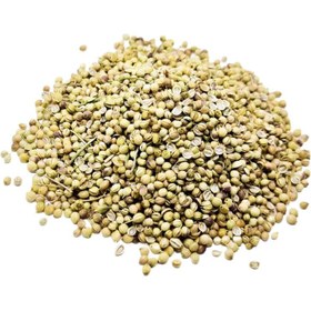 تصویر تخم گشنیز 500گرم 