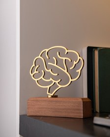 تصویر تندیس مغز 