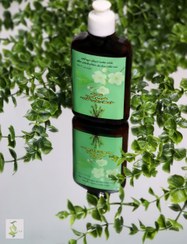 تصویر شامپو موی چرب | گیاهی و ارگانیک 