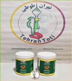 تصویر جلبک کویکو 