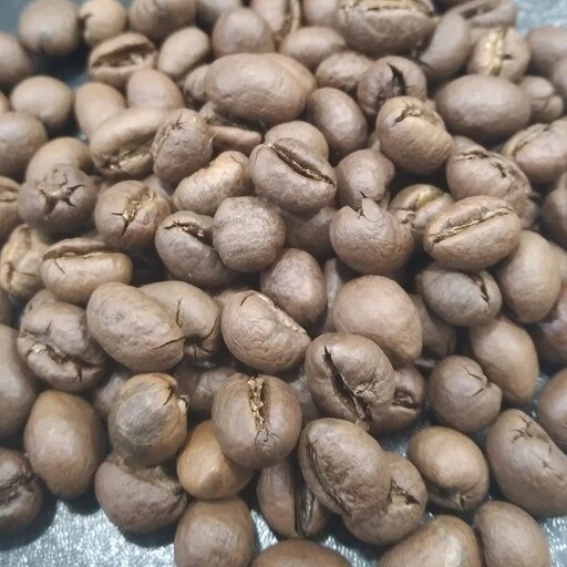 خرید و قیمت قهوه پی بی روبوستا 500گرم(ارسال رایگان) | ترب