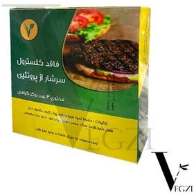 تصویر برگر تمپه پروتئین وگ نخود و سویا