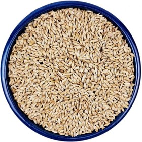 تصویر تخم کتان پرنده 