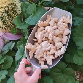 تصویر زنجفیل - قلم 