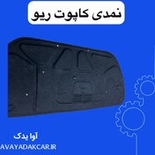 تصویر نمد کاپوت ریو ایرانی 