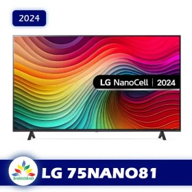 تصویر تلویزیون ال جی 75NANO816 LG 75NANO816QA 75 Smart 4K Ultra HD HDR LED TV with Google Assistant