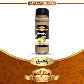 تصویر پودر زنجبیل - پت (70 گرم) - پت 70-گرم 