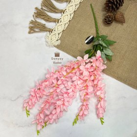 تصویر گل ارکیده 