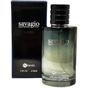 تصویر ادوپرفیوم مردانه Savagio حجم 100 Bailando Savagio Eau De Parfum For Men 100ml