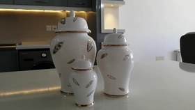 تصویر جینجر جار 