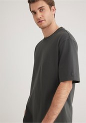 تصویر تیشرت مردانه خاکستری ماوی | 611924 