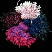 تصویر نخ پلمپ نخی 