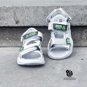 تصویر صندل رابین طوسی 