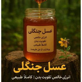 تصویر عسل جنگلی - 650 گرم 