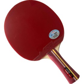 تصویر راکت آماده پینگ پنگ یینهه 02B Yinhe Table Tennis Bat Model Galaxy 02B