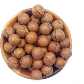 تصویر ماکادمیا درجه یک پوکال 