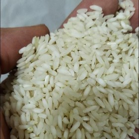 تصویر برنج چمپای محلی اعلا میداوود 5 کیلوگرمی امساله (برداشت1402) 