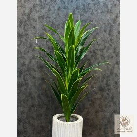 تصویر درختچه مصنوعی یوکا با گلدان | کد: ZNB-W3X 