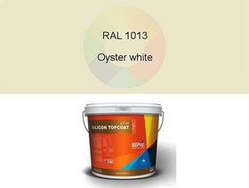 تصویر رنگ اکریلیک نیمه براق سیلیکونی نما بپکو (SILICON TOPCOAT) (1013-oyster-white (سفید صدفی)) 