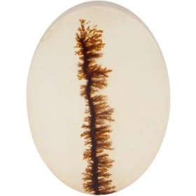 تصویر سنگ شجر کد3036 