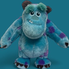 تصویر سالیوان ۳۰ سانتی 