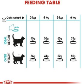 تصویر تغذیه مراقبت از گربه - مراقبت از سیستم ادراری ۲ کیلوگرم برند royal canin Feline Care Nutrition Urinary Care 2 KG