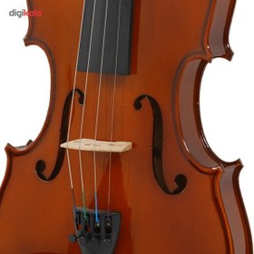 تصویر Karl Hofner AS-060-V Acoustic Violin 