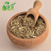 تصویر خارشتر 