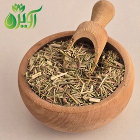 تصویر خارشتر 