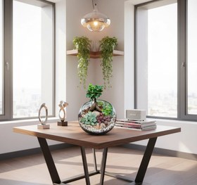 تصویر تراریوم بونسای 