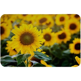 تصویر رطوبت گیر کنار سینک کد 8488 