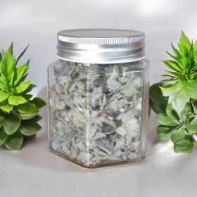 تصویر چای کوهی 