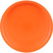 تصویر دیسک فریزبی Ghafari Frisbee Ghafari