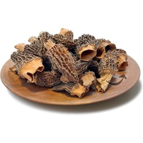 تصویر قارچ مورل 