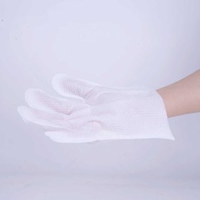 تصویر دستمال مرطوب مدل دستکش آنتی باکتریال برند دونو 6 عددی Disposable Pet Glove Wipes