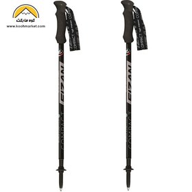 تصویر باتوم FIZAN مدل COMPACT ( پک دو عددی ) 