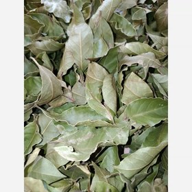 تصویر برگ بو خشک شده 