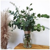 تصویر خرید گیاه اکالیپتوس برای فضای داخلی رستوران 