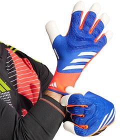 تصویر دستکش دروازه بانی آدیداس پریداتور Adidas Predator Goalkeeper gloves 