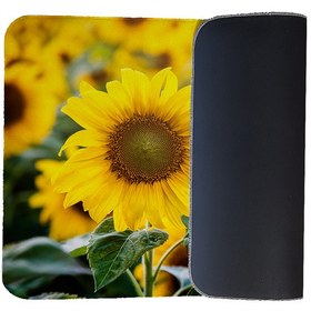 تصویر رطوبت گیر کنار سینک کد 8488 