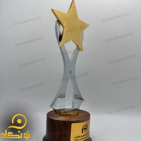 تصویر تندیس فلزی آماده 