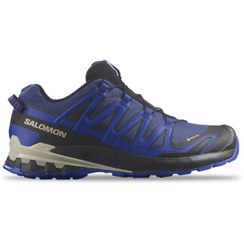 تصویر کفش تریل رانینگ مردانه سالومون مدل Salomon Trail shoes XA PRO 3D V9 GTX L47270300 