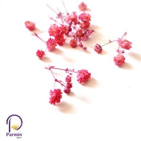 تصویر گل خشک ژیپسوفیلای 