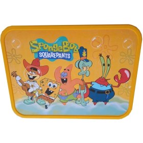 تصویر باکس نظم دهنده کودک 