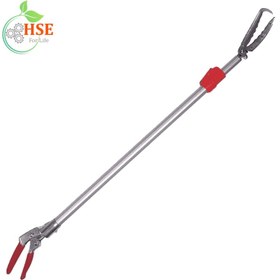 تصویر مارگیر 